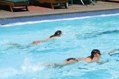 Lear to Swim in the Philippines