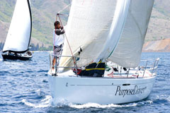 Smallest Island In The World