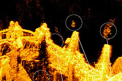 Philippine Boat Show 2010 Sea-Expo Humminbird Down Imaging