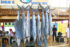Photograph: Game Fishing Tournament Siargao Surigao Del Norte Philippines
