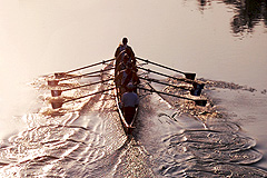 Image: Rowing on the Pasig River