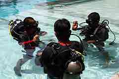 Photograph Introduction to Scuba Diving Panglao