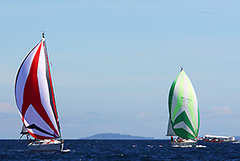 Chinese New Year Regatta