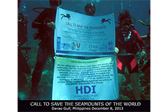 seamounts Davao Gulf